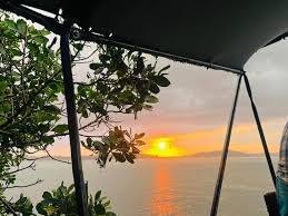 Mangrove Icon